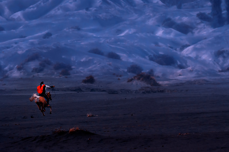 Horse in Air