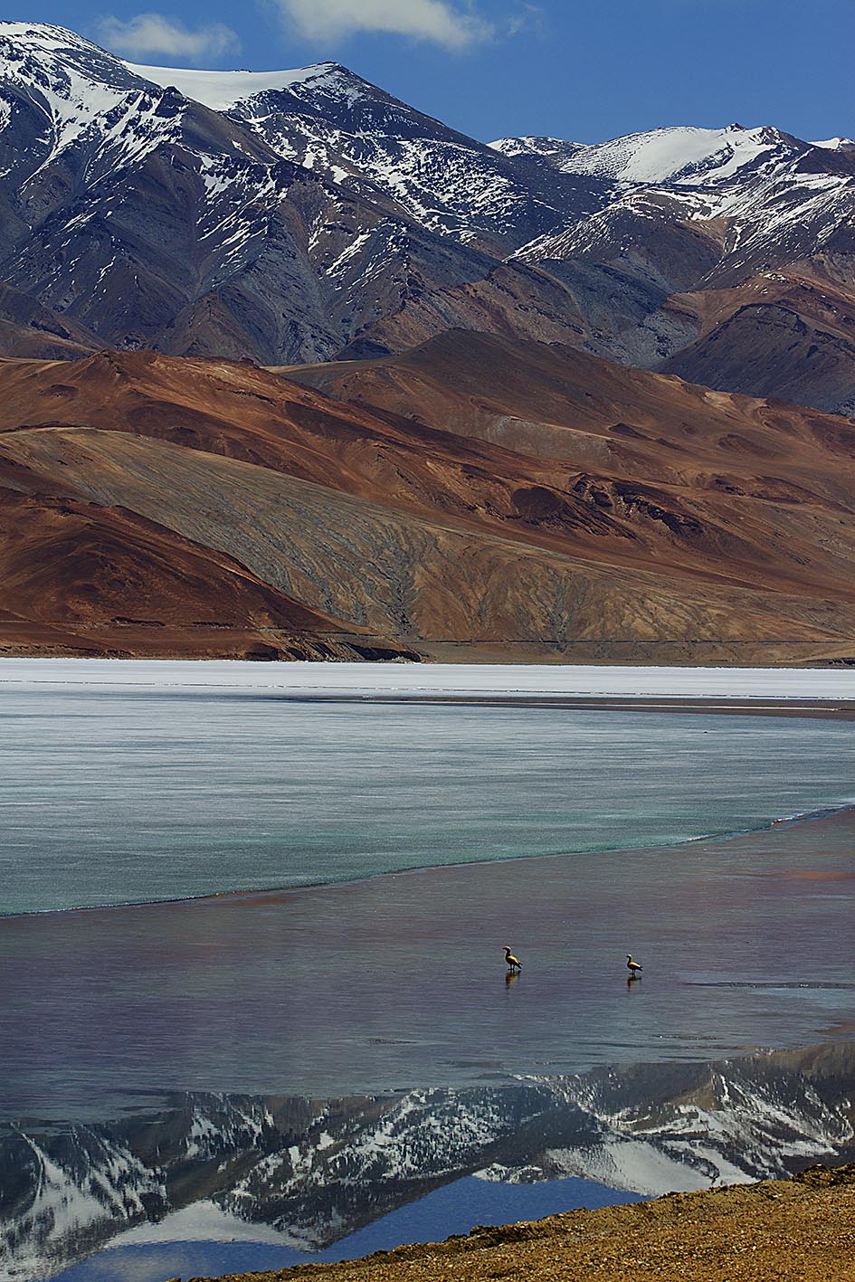 Tso Moriri lake, Ladakh, India