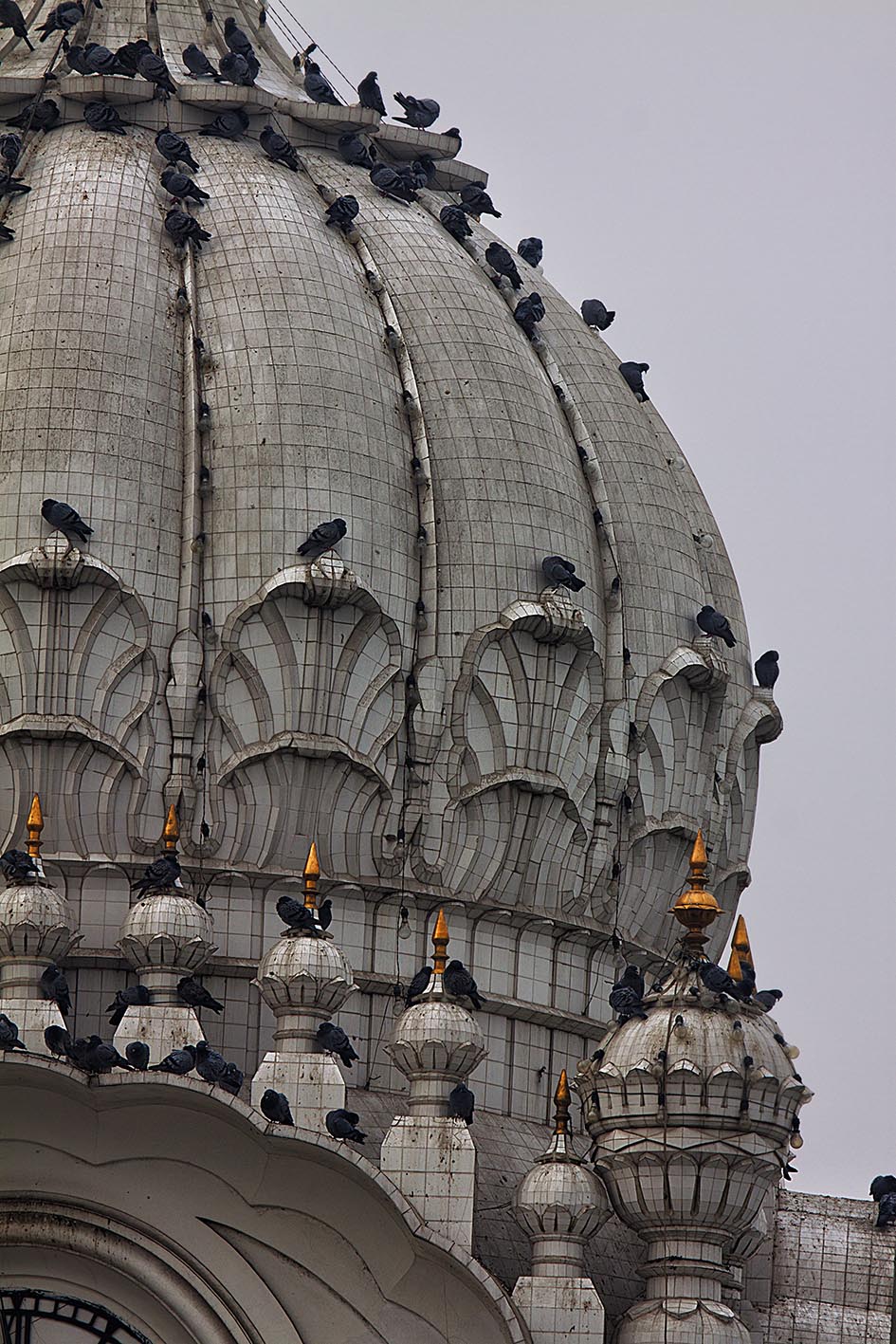 Domes of Golden Temple, Amritsar, India